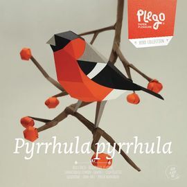 PYRRHULA PYRRHULA -PINSA BORRONER. FIGURA DE PAPER 3D -PLEGO
