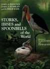 STORKS, IBISES AND SPOONBILLS OF THE WORLD
