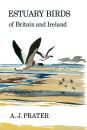 ESTUARY BIRDS OF BRITAIN AND IRELAND