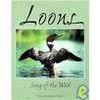 LOONS. SONG OF THE WILD