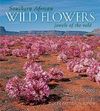 SOUTHERN AFRICAN WILD FROWERS