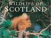 WILDLIFE OF SCOTLAND
