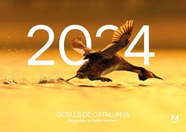 CALENDARI SOBRETAULA 2024 OCELLS DE CATALUNYA
