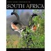 SOUTH AFRICA -SAFARI COMPANIONS