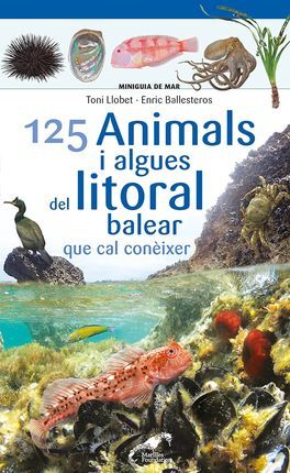 125 ANIMALS I ALGUES DEL LITORAL BALEAR QUE CAL CONEIXER [ACORDIO] -MINIGUIA DE MAR