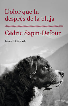 OLOR QUE FA DESPRÉS DE LA PLUJA, L'
