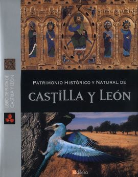 PATRIMONIO HISTORICO Y NATURAL DE CASTILLA Y LEON