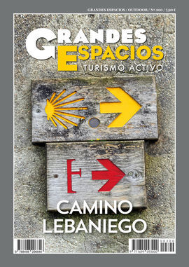 300 GRANDES ESPACIOS REVISTA