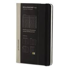 PROFESSIONAL NOTEBOOK LARGE [13X21]